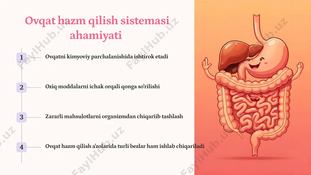 an qator boshqa vazifalarni ham bajaradi. me'dani mexanik vazifasi ovqatni me'da shirasi bilan ara-lashtirish va qayta ishlangan ovqat massasini o'n ikki barmoq ichakka o'tkazib berishdan iborat. bu vazifani bajarishda me'da devorining mushaklari ishtirok etadi. me'da devorida ovqat bilan kirgan vitaminlarning so'rilishini ta'minlovchi anti-anemik omil (faktor) hosil bo'ladi. bu omilning bo'lmas-ligi odamda xavfli kamqonlik kasaliga olib keladi. me'da de-vori orqali suv, spirt, tuzlar, qand va boshqa moddalar yaxshi so'riladi. shu bilan birga me'da qisman ekskretor vazifani ham bajarishi mumkin. ba'zi buyrak kasalliklarida me'da devori orqali oqsil almashinuvining ba'zi oxirgi mahsulotla-ri (ammiak, mochevina va boshqalar) ajralishi mumkin. me'da shilliq pardasi haqida me'da shilliq pardasining^z^ yuzasi uning burmalari, maydonchala- ri va chuqurchalari hisobiga notekis bo'ladi. me'da burmalarining (plica gastrica) hosil bo'lishida shillite osti pardalar qatnashadi, burmalar doimiy tuzilmalar bo'lmay, faqat bo'sh me'dagina ko'rinadi, me'daga ovk,at tuilganda esa yo'qolib ketadi. me'da maydon- chalari (areae gatricae) shilliq pardaning bir-biridan egatchalar orqali ajralib turgan sohalaridir. ular …