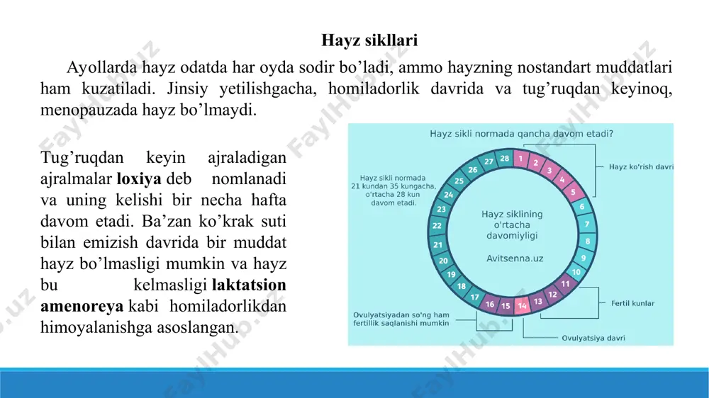 n, patogen bakteriyalar uchun ham. bundan tashqari jismoniy kuch ishlatish ham mumkin emas, ruhiy sokinlik tavsiya etiladi. tibbiyotda to’liq suvga tushish va vannalar qabul qilish tavsiya etilmaydi (ham chuchuk, ham tuzli suvda), yuvinish uchun dushdan foydalanish kerak. spirtli ichimliklar va achchiq oziq-ovqatlar qarshi ko’rsatiladi, chunki ular qorin bo’shlig’i a’zolariga keladigan qon oqimining kuchayishi sababli bachadondan qon ketishini kuchaytiradi. hayz davrida jinsiy aloqa qilish hayz ko’rish vaqtida ayollar jismoniy noqulayliklarga duch kelishlari mumkin. ba’zi hollarda yuqori gormonal fon emotsional taranglik va ta’sirchanlik xususiyatini keltirib chiqaradi. ushbu davrda bachadon turli xil infektsiyalarga qarshi juda zaif bo’ladi. ayrim mutaxassislar hayz paytida jinsiy faoliyatni to’xtatishni maslahat beradi. menstrual buzilishlar hayz buzilishi juda tez-tez uchraydi va quyidagilarga yo’naltiriladi: tugashi yoki to’xtashi (amenoreya); chetlashgan yoki aralash qon ketish (menstruatio vicaria); kuchayishi (menorragiya), og’riqli hayz (dismenoreya, eski. algomenoreya). hayz ko’rishni to’xtashi turli sharoitlarga bog’liq. homiladorlik oddiy qon oqishini to’xtatadi va bu fiziologik sabablardan biridir. menstruatsiya ayol tanasining …