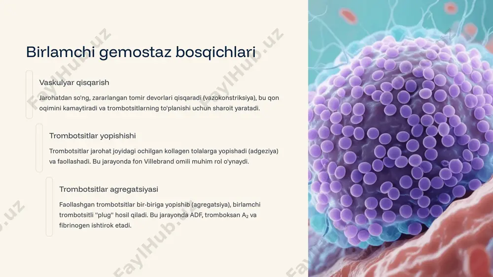 gemostaz va fibrinoliz: laboratoriya mashg'uloti 3 - Page 4