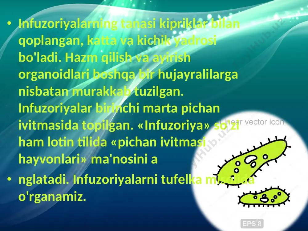 infuzoriyalar va sporalilar sinflari - Page 4
