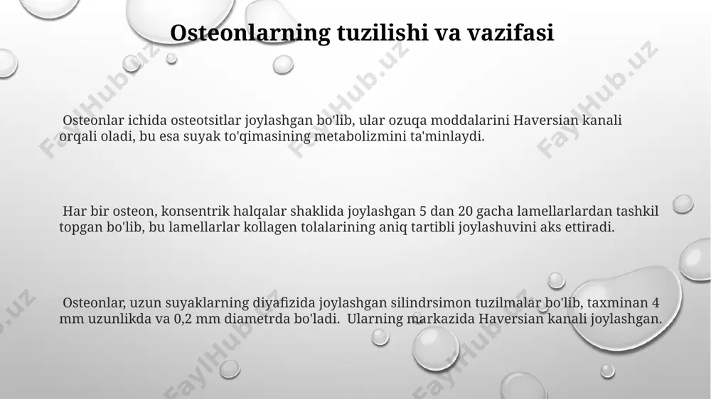 a mexanik stressga javoban, suyakni qayta shakllantirish jarayonini tartibga soladi. suyak to'qimasining kasalliklari (osteoporoz, osteomiyelit) osteomiyelit, suyakning bakteriyalar tomonidan yuqishi, jahon sog'liqni saqlash tashkiloti ma'lumotlariga ko'ra, yiliga dunyo bo'ylab 2 millionga yaqin holatni tashkil etadi, shundan 10% dan ortig'i o'lim bilan yakunlanadi. o'zbekistonda osteoporozni 50 yoshdan oshgan ayollarning 40% ga yaqini boshdan kechiradi, bu esa suyak zichligining pasayishi va sinish xavfini oshiradi, ayniqsa, lombar umurtqalar mintaqasida. samarqand viloyatida o'tkazilgan tadqiqotlar shuni ko'rsatdiki, osteoporoz bilan kasallangan bemorlarda kaltsiy va d vitamini yetishmasligi 75% dan yuqori darajada kuzatiladi, bu esa davolash jarayonini murakkablashtiradi. kollagen tolalari va ularning ahamiyati kollagen tolalarning tartibi va yo'nalishi suyakning biomexanik xususiyatlarini belgilaydi; masalan, uzun suyaklarning diafiz qismida parallel tarzda joylashgan kollagen tolalari yuqori bo'ylama kuchga ega bo'lishiga olib keladi. suyak to'qimasida kollagen tolalari o'zaro bog'langan holda, taxminan 60-70 nanometr diametrli to'plamlarni hosil qilib joylashadi, bu ularning kuchini va bardoshliligini oshiradi, masalan, femur suyagida. kollagen tolalarining asosiy turi …