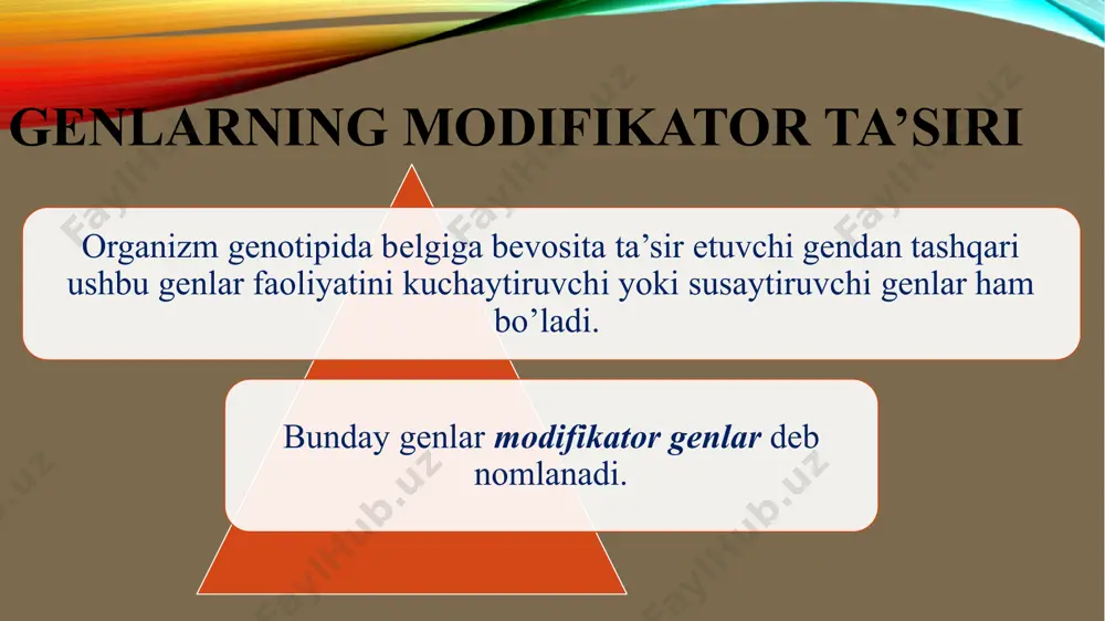 modifikator genlar ta'siri - Page 3