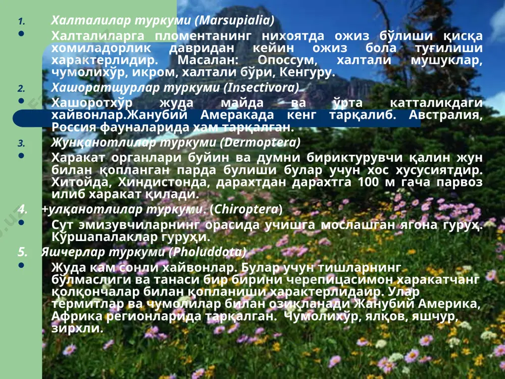 ларида тарқалган. танасининг узунлиги 1,5 дан 2 м гача кўк мартишка шимпанзе