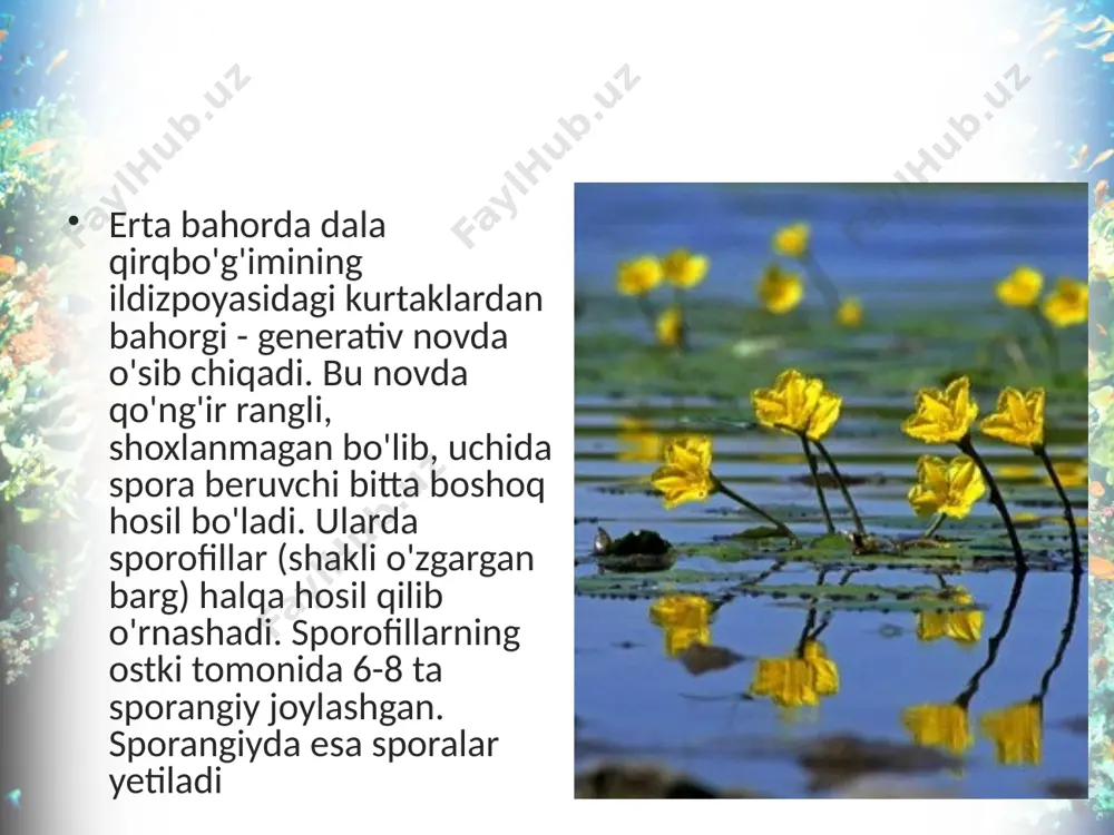 qirqbo'g'imlar bo'limi. 6 - sinf - Page 5
