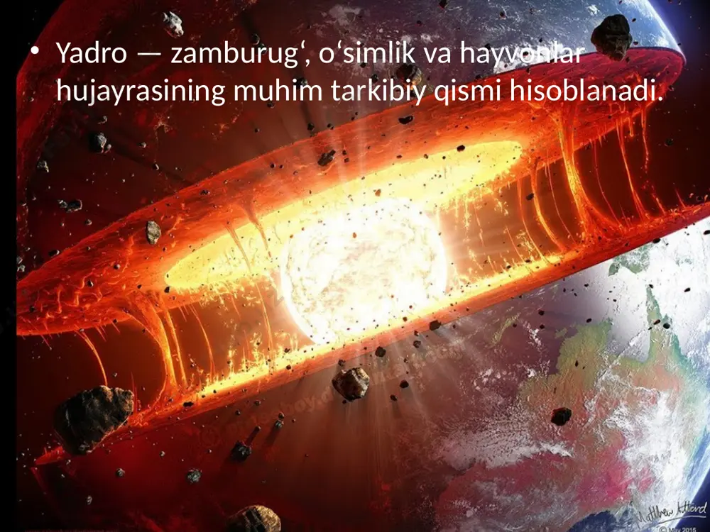a iplarga ega bo‘lgan xromosomalar gomologik xromosomalar deb ataladi. somatik hujayraning xromosoma to‘plamidagi har bir xromosoma o‘z juftiga ega va juft (yoki diploid) deb ataladi. diploid to‘plam 2n bilan belgilanadi. jinsiy hujayralarga juft gomologik xromosomalardan faqat bittasi o‘tadi, shuning uchun gametaning xromosoma to‘plami toq (yoki gaploid) deyiladi. hujayra yadrosiga xos bo‘lgan uchinchi xususiyat — yadrochaning mavjudligidir. u yadro shirasiga botib kirgan zich tanachadan iborat. yadrochalar faqat bo‘linmaydigan hujayralarda bo‘ladi, ular mitoz paytida yo‘qolib ketadi, bo‘linish tamom bo‘lgach yana paydo bo‘ladi. yadrocha — shakllanishdarajasi har xil bo‘lgan ribosomalar va r-rnkning to‘plamidan iborat. image2.jpeg image3.jpeg image4.jpeg image5.jpeg image6.jpeg image7.jpeg image8.jpeg image9.jpeg image10.jpeg image11.jpeg image12.jpeg image13.jpeg image14.png image15.jpeg image16.jpeg image1.jpeg
