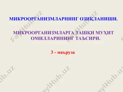 mikroorganizmlarning oziqlanishi — PPT