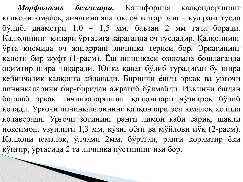 калифорния қалқондори - Page 5
