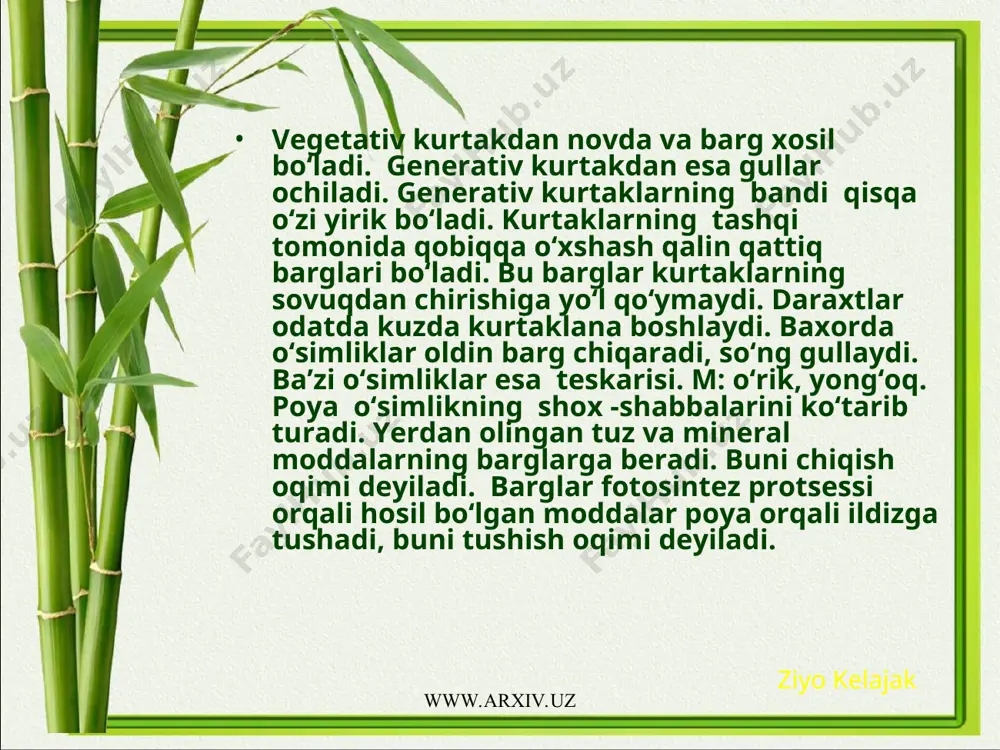 chiqib shu yilning o‘zida urug‘ bo‘ladi. m: qovun, tarvuz, jo‘xori: 2 yillik o‘simliklar bir yillik urug‘dan o‘sib chiqib, ikkinchi yili urug‘ beradi. m:sabzi, lavlagi. ko‘p yillik o‘simliklar bir necha yillar yashab xar yili urug‘ berishi mumkin. m:ajriq, beda, g‘umay, kartoshka, piyoz. odatda bir yillik o‘tli o‘simliklar belgi bilan, ikki yillik bo‘lsa , ko‘p yillik h belgi qo‘yiladi. daraxt va butalar h belgi qo‘yiladi. daraxt va butalarning poyasi yeg‘ochlangan bo‘ladi. daraxtlarning butalardan farqi daraxtlarda ildizdan bitta asosiy poya o‘sib chiqadi, bu asosiy poya shoxlanib, o‘sib turadi. butalarda ildizdan bir nechta poya o‘sib chiqadi, ularning bo‘yi daraxtlardan past bo‘ladi. m: na’matak, saksavul, anor. daraxtlarning bo‘yi baland bo‘lib, bir necha yil yashaydi, masalan: chinorning bo‘yi 30 m, oqterakning bo‘yi-40m, qarag‘ay bo‘yi 50m, mamont daraxti 140m, evkalip daraxtining bo‘yi 150m, xurmo daraxtini buyi 300m. tropik mamlakatda o‘suvchi lianalarning bo‘yi 500 m bo‘ladi, yashash mudati: qarag‘ay 500 y, oqterak 600y,olcha-1200y. kashtan daraxti 2000y, savri daraxti-3000y, …