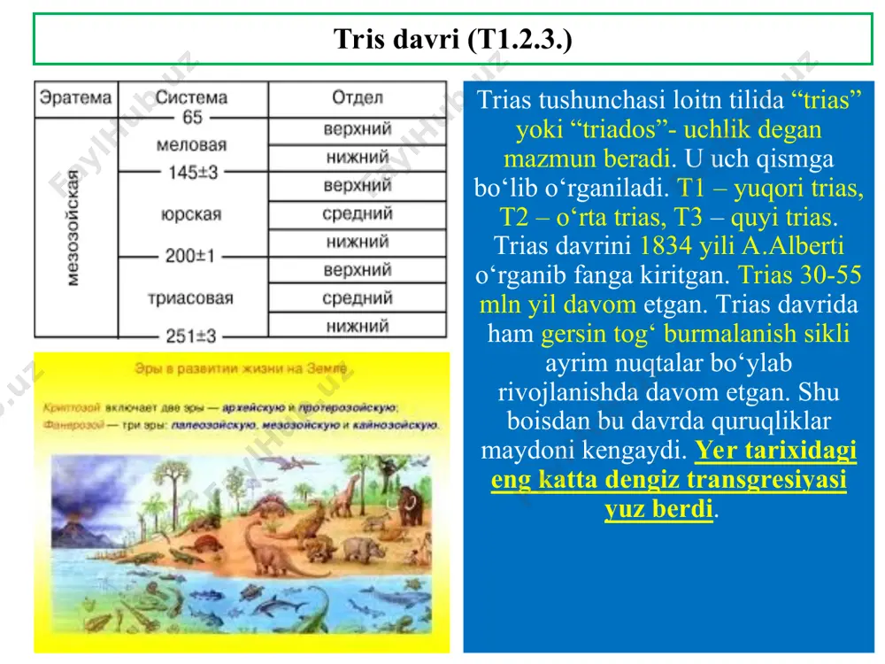 a u o‘sha tadqiqotlar olib borilgan 1885 yildan buyon deyarli o‘zgarishsiz holda saqlanib qolmoqda. bo‘r davri. o‘zbekistonda bo‘r davri yotqiziqlarini o.m.akramxo‘jaev, o.s.vyalov, s.n.simonovlar tomonidan o‘rganilgan. bo‘r davri umumiy holda quyi, o‘rta, yuqori qismlarga bo‘lib o‘rganiladi. ko‘pchilik tadqiqotchilarning fikriga ko‘ra bo‘r davrida yer tarixidagi yuz bergan eng katta dengiz trasgresiyasi bo‘lib o‘tgan. bu holat bo‘r davrining boshida quruqlik bo‘lgan barcha platformalarning bo‘r davrining ikkinchi yarmida cho‘kishi, suv ostida qolishi bilan kechgan. bo‘r davri. bo‘r davrining oxirida o‘rta osiyo hududini tetis dengizining iliq ammo sayyoz suvi qoplab olgan. tetis dengizi shimolida to‘rg‘ay bo‘g‘izi orqali shimoliy muz okeani, g‘arbda esa o‘rta yer dengizi orqali atlantika okeani bilan tutashib turgan. tetis dengizining janubiy chegarlari afrikaning shimoliy qismlarini yuvib turgan, arabiston yarim orolining sharqiy katta qismi, hindiston yarim orolining g‘arbiy qismlari,tibet, pomir tog‘lari ham suv ostida bo‘lgan. bo‘r davri: bo‘r davrida - vulkanik jarayonlar faollashib, hindiston yarim orolida katta miqdordagi lavalar oqimi trapp qoldiqlari, shimoli-sharqiy …
