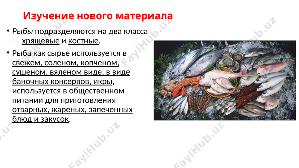 зличной обработке: охлаждению, замораживанию, сушке и др. охлажденная рыба охлажденной называют рыбу, имеющую в толще мышечной тка­ни температуру от -1 до +5 °с. охлаждают рыбу сразу после вылова. по видам разделки охлажденная рыба может быть неразделанная (карповые рыбы, окуневые, некрупный сом, салака, щука, пикша, навага), потрошенная с головой (крупный сом, камбала), потрошеная обезглавленная (тресковые, морской окунь, зубатка). рыб — маринку, иглобрюха, усача — обязательно потрошат с тщательным удалением брюшной пленки, так как сама пленка и внутрен­ние органы этих рыб ядовитые. охлаждают рыбу льдом, охлажденной водой или раствором соли. требования к качеству охлажденной рыбы рыба должна быть непобитой, с чистой поверхностью, правильно разделана, естественной окраски, с жабрами от темно-красного до розового цвета. консистенция плотная. запах должен быть свойственным свежей рыбе, без посторонних запахов. не допускается к использованию охлажденная рыба с механическими повреждениями, с ослабленной консистенцией, кисловатым или гнилостным запахом в жабрах либо с наличием поверхностной слизи. большинство рыб в охлажденном состоянии …