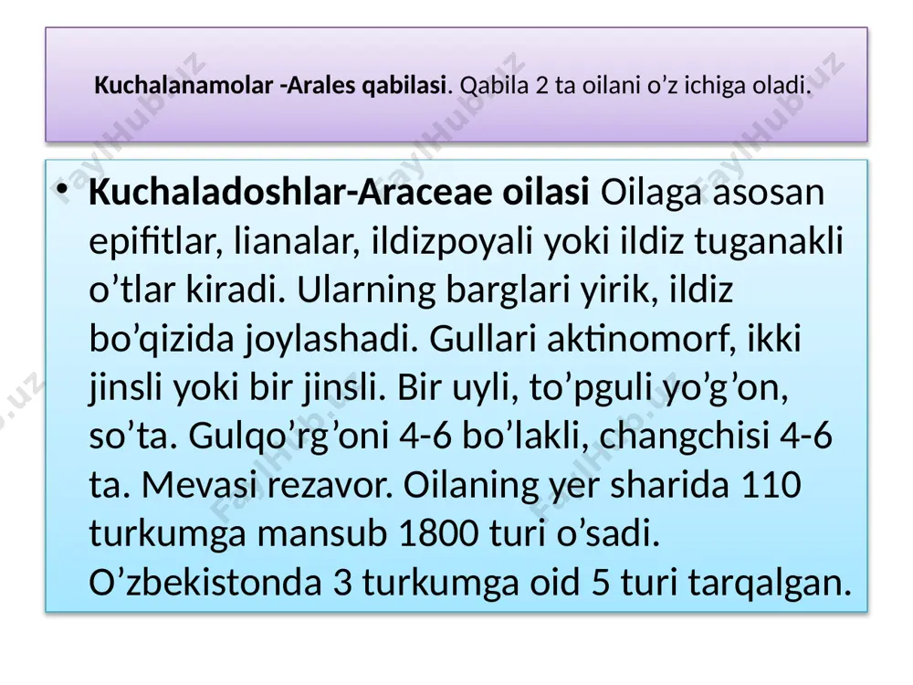 bir urug’pallali o’simliklar – liliopsida yoki monocotyledones sinfi - Page 4