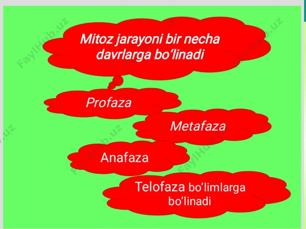 hujayraning mitotik va hayotiy sikli - Page 4