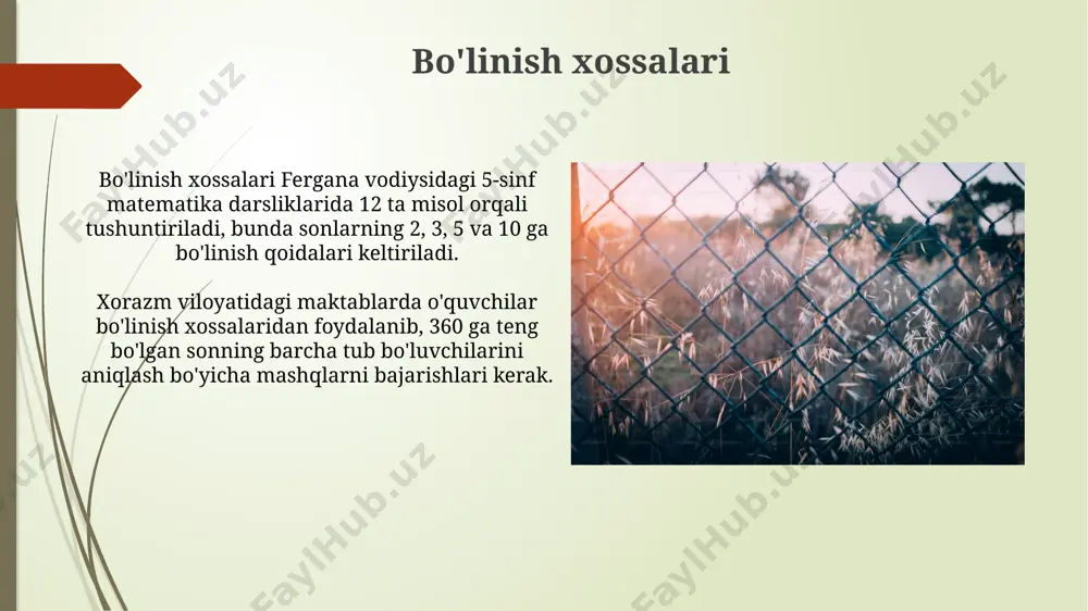 bo‘linish taqdimoti - Page 5