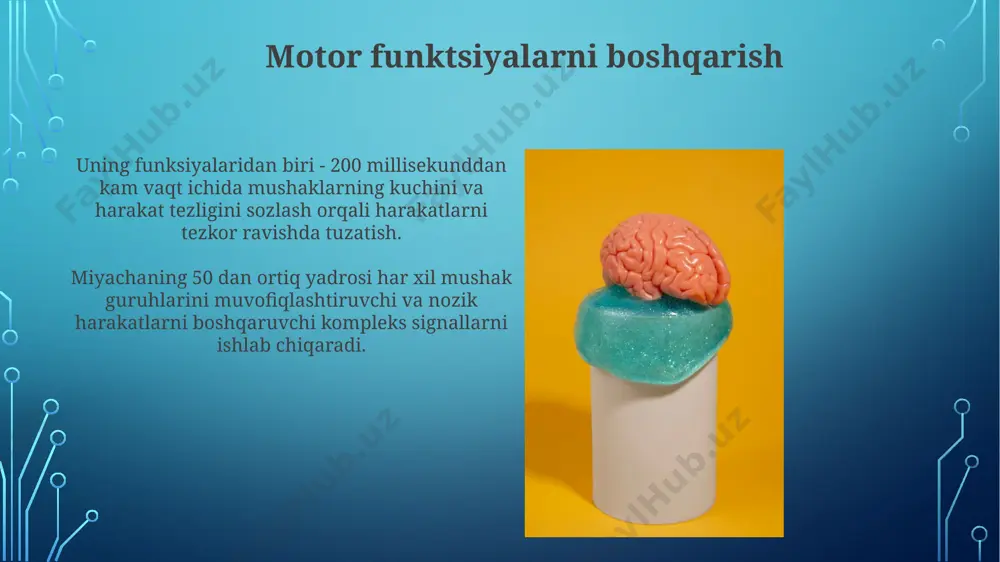 aning kichik miqdordagi shikastlanishi ham muvozanat va harakatlarni muvofiqlashtirishda sezilarli darajada buzilishlarga, hatto 20% gacha pasayishga olib kelishi mumkin. tilni boshqarish miyachaning tilni boshqarishda ishtirok etadigan 3 ta asosiy qismi: broka maydoni, vernike maydoni va supramarginal gyrus bo'lib, ularning o'zaro ta'sirini cerebellum muvofiqlashtiradi. tilni boshqarishda cerebellumning shikastlanishi artikulyatsiya buzilishiga, disartriyaga olib kelishi mumkin, bu esa 50% holatlarda so'z tushunish qobiliyatiga ham ta'sir qiladi. miyacha shikastlanishi miyacha shikastlanishi tufayli nutqning buzilishi (disartriya) taxminan 20% hollarda kuzatilib, artikulyatsiya, ritm va intonatsiyani buzadi, bu esa bemorlarning muloqot qilish qobiliyatini cheklaydi. miyacha shikastlanishi natijasida 30% gacha bemorlarda muvozanat buzilishi, ataksiya va harakatlarning noaniqligi kuzatiladi, bu esa kundalik hayot faoliyatiga salbiy ta'sir ko'rsatadi. e'tiboringiz uchun rahmat @taqdimot_robot image3.jpg image4.jpg image5.jpg image6.jpg image7.jpg image8.jpg image9.jpg image10.jpg image11.jpg image12.jpg image13.jpg image14.jpg image15.jpg image16.jpg image17.jpg image18.jpg image19.jpg image2.png