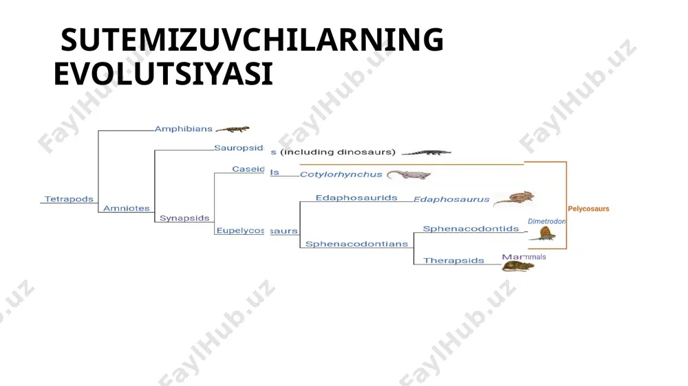 sutemizuvchilarning kelib chiqishi mavzusida taqdimoti - Page 4