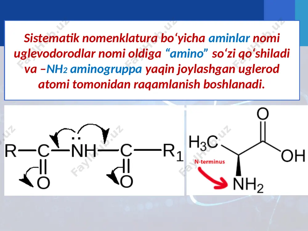 aminlar va aromatik aminlar. olinishi va xossalari. 10 - sinf - Page 5