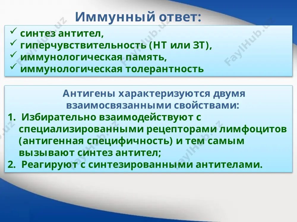 изме синтез антител (аутоантител), которые повреждают определенные ткани организма. такие патогенетические механизмы четко видны при ревматизме, язвенном колите, некоторых поствакцинальных осложнениях. главный комплекс гистосовместимости (гкг) – это система генов, которая контролирует синтез антигенов, которые определяют несовместимость тканей при пересадках и индуцируют реакции отторжения трансплантатов. клас гкг ii iii і гени dp ds dq dr c2 fb c4 hsp70 b c a продукти генів hla-dp hla-ds hla-dq hla-dr c2 fb c4 білки теплового шоку hla-b hla-c hla-a молекулы класов главного комплекса гистосовместимости распознаются т клеточными рецепторами (ткр) т клеток. ткр узнают пептиды (антигены) связанные с молекулами гкг, расположенными на поверхности клеток. существует два класса таких молекул гкг: класс і гкг и класс іі гкг образец текста второй уровень третий уровень четвертый уровень пятый уровень антигены гкг класса і располагаются на поверхности всех ядросодержащих клеток распознаются ткр cd8 цитотоксических т клеток (т киллеров) cd8 присоединяется к комплексам гкг класс і – пептид …