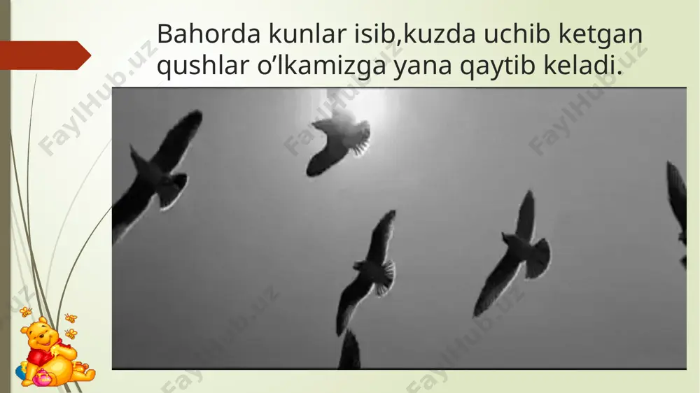 bahorda o’lkamizga uchib keladigan qushlar - Page 2