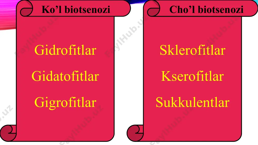 ekotizimlar tarkibi, unda modda va energiya almashinuv - Page 4