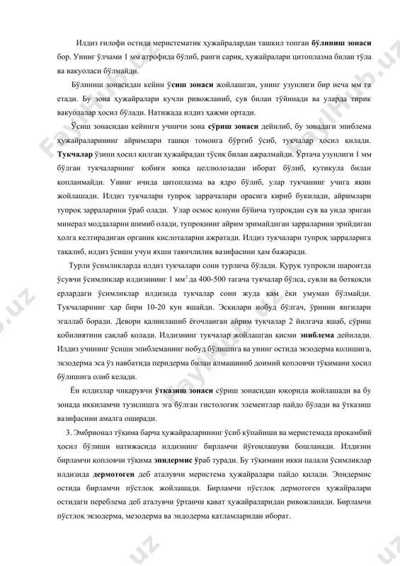иб, тукчалар ҳосил қилади. тукчалар ўзини ҳосил қилган ҳужайрадан тўсиқ билан ажралмайди. ўртача узунлиги 1 мм бўлган тукчаларнинг қобиғи юпқа целлюлозадан иборат бўлиб, кутикула билан қопланмайди. унинг ичида цитоплазма ва ядро бўлиб, улар тукчанинг учига яқин жойлашади. илдиз тукчалари тупроқ заррачалари орасига кириб букилади, айримлари тупроқ зарраларини ўраб олади. улар осмос қонуни бўйича тупроқдан сув ва унда эриган минерал моддаларни шимиб олади, тупроқнинг айрим эримайдиган зарраларини эрийдиган ҳолга келтирадиган органик кислоталарни ажратади. илдиз тукчалари тупроқ зарраларига тақалиб, илдиз ўсиши учун яхши таянчлилик вазифасини ҳам бажаради. турли ўсимликларда илдиз тукчалари сони турлича бўлади. қуруқ тупроқли шароитда ўсувчи ўсимликлар илдизининг 1 мм2 да 400-500 тагача тукчалар бўлса, сувли ва ботқоқли ерлардаги ўсимликлар илдизида тукчалар сони жуда кам ёки умуман бўлмайди. тукчаларнинг ҳар бири 10-20 кун яшайди. эскилари нобуд бўлгач, ўрнини янгилари эгаллаб боради. девори қалинлашиб ёғочланган айрим тукчалар 2 йилгача яшаб, сўриш қобилиятини сақлаб қолади. илдизнинг тукчалар жойлашган қисми эпиблема дейилади. илдиз …