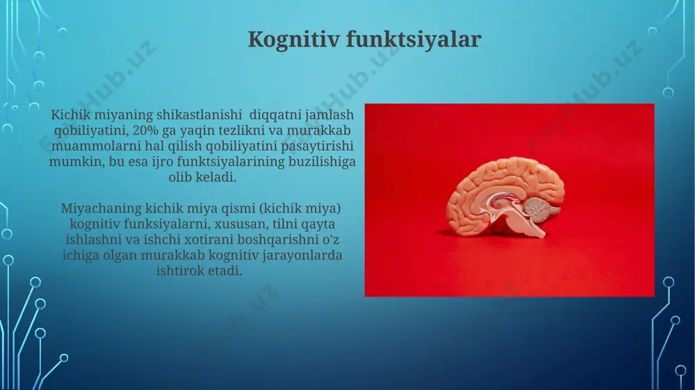 rebellumning zararlanishi ataksiya deb ataluvchi holatga olib kelishi mumkin, bu esa harakatlarning muvofiqlashmasligi, titroq va muvozanatning buzilishi bilan namoyon bo'ladi, bu esa 3 o'q bo'yicha muvozanatning buzilishiga olib keladi. ataksiya ataksiyaning ogʻirligi har xil boʻlib, ba'zi hollarda yengil, boshqalarida esa harakat qilish qobiliyatini jiddiy darajada cheklaydigan darajada ogʻir kechishi mumkin, bu esa bemorning kundalik hayot sifatiga salbiy ta'sir koʻrsatadi. ataksiyaning 30 dan ortiq turli xil sabablari mavjud boʻlib, ular orasida miya shikastlanishi, multipl skleroz va b12 vitamini yetishmasligi kabi kasalliklar ham uchraydi. miyachaning ahamiyati miyachaning ahamiyatini o'rganishda, uning 3 qismdan – vermis, ikki yarim shar va flokkulonodular lobuslardan tashkil topgan murakkab tuzilishi aniqlangan. miyachaning motor koordinatsiyasi, muvozanatni saqlash va o'rganish jarayonlaridagi roli, uning sog'lig'imiz uchun muhim ahamiyatga ega ekanligini ko'rsatadi, shikastlanish esa 30% gacha harakat faoliyatini buzadi. miyacha kasalliklari miyacha kasalliklari, masalan, ataksiya, bemorlarda muvozanatning buzilishiga, 30% hollarda esa nutqning buzilishiga olib kelishi mumkin. miyachaning shikastlanishi natijasida harakatlarning koordinatsiyasi pasayadi, …