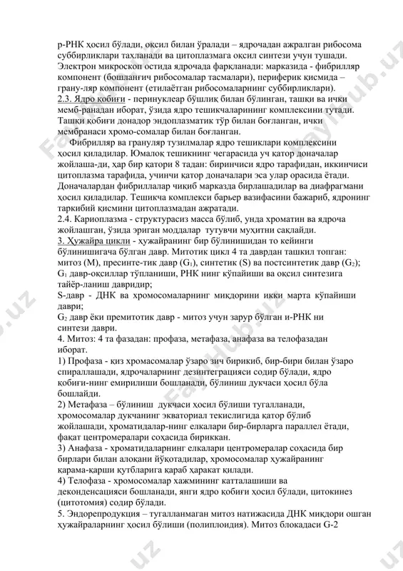 си цитоплазма тарафида, учинчи қатор доначалари эса улар орасида ётади. доначалардан фибриллалар чиқиб марказда бирлашадилар ва диафрагмани ҳосил қиладилар. тешикча комплекси барьер вазифасини бажариб, ядронинг таркибий қисмини цитоплазмадан ажратади. 2.4. кариоплазма - структурасиз масса бўлиб, унда хроматин ва ядроча жойлашган, ўзида эриган моддалар тутувчи муҳитни сақлайди. 3. ҳужайра цикли - ҳужайранинг бир бўлинишидан то кейинги бўлинишигача бўлган давр. митотик цикл 4 та даврдан ташкил топган: митоз (м), пресинте-тик давр (g1), синтетик (s) ва постсинтетик давр (g2); g1 давр-оқсиллар тўпланиши, рнк нинг кўпайиши ва оқсил синтезига тайёр-ланиш давридир; s-давр - днк ва хромосомаларнинг миқдорини икки марта кўпайиши даври; g2 давр ёки премитотик давр - митоз учун зарур бўлган и-рнк ни синтези даври. 4. митоз: 4 та фазадан: профаза, метафаза, анафаза ва телофазадан иборат. 1) профаза - қиз хромасомалар ўзаро зич бирикиб, бир-бири билан ўзаро спираллашади, ядрочаларнинг дезинтеграцияси содир бўлади, ядро қобиғи-нинг емирилиши бошланади, бўлиниш дукчаси ҳосил бўла бошлайди. 2) метафаза – …