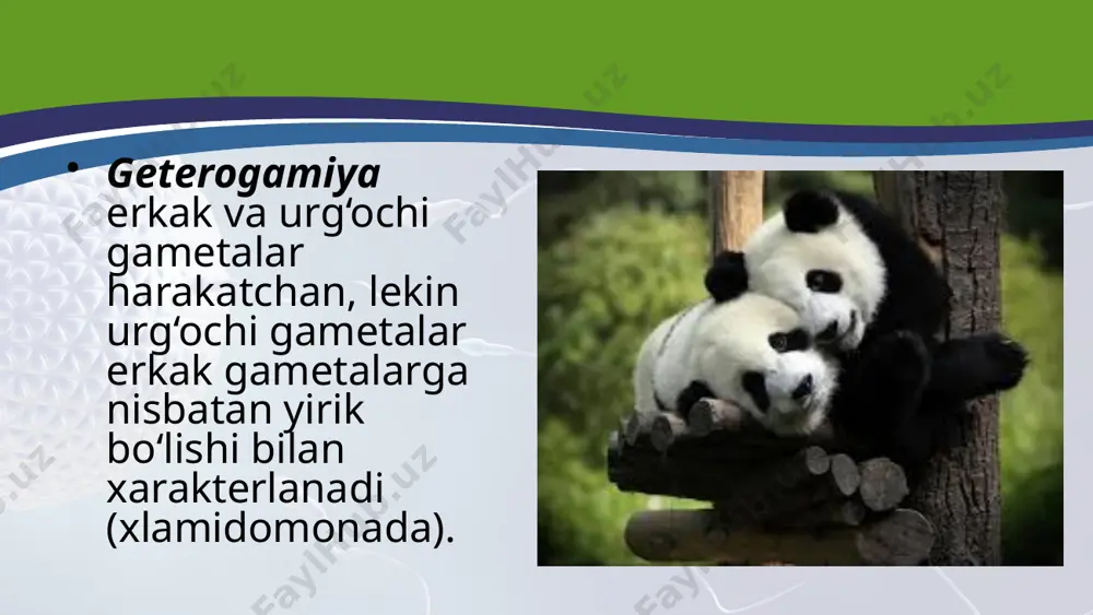 organizmlarning jinsiy ko‘payishi. 10 - sinf - Page 5