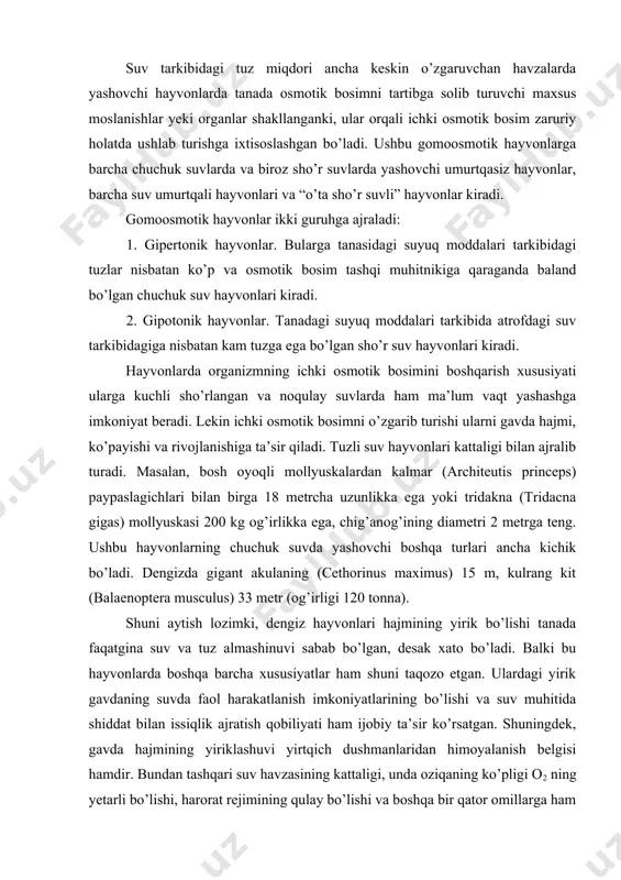 i ancha kichik bo’ladi. dengizda gigant akulaning (cethorinus maximus) 15 m, kulrang kit (balaenoptera musculus) 33 metr (og’irligi 120 tonna). shuni aytish lozimki, dengiz hayvonlari hajmining yirik bo’lishi tanada faqatgina suv va tuz almashinuvi sabab bo’lgan, desak xato bo’ladi. balki bu hayvonlarda boshqa barcha xususiyatlar ham shuni taqozo etgan. ulardagi yirik gavdaning suvda faol harakatlanish imkoniyatlarining bo’lishi va suv muhitida shiddat bilan issiqlik ajratish qobiliyati ham ijobiy ta’sir ko’rsatgan. shuningdek, gavda hajmining yiriklashuvi yirtqich dushmanlaridan himoyalanish belgisi hamdir. bundan tashqari suv havzasining kattaligi, unda oziqaning ko’pligi o2 ning yetarli bo’lishi, harorat rejimining qulay bo’lishi va boshqa bir qator omillarga ham bog’liqdir. lekin hayvon tanasida suv-tuz almashinuvi sharoiti asosiy omillardan hisoblanadi. masalan, har xil tuz miqdoriga ega bo’lgan suv havzalaridan olingan bir turning individlari gavda hajmi bilan farqlanadi. tuz miqdori 15% bo’lgan dengizdan olingan midiya (mytilus edulis) mollyuskalarining o’rtacha kattaligi 110 mm bo’lsa, sho’rligi 5-2% ga teng bo’lgan. fin ko’rfazidan olingan …