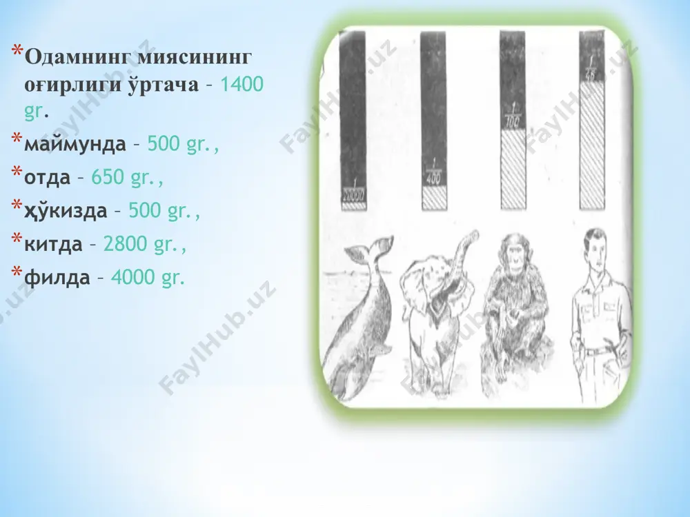 психика ҳақида тушунча ва унинг эволюцияси - Page 5