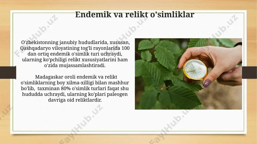 ga kamaygan. antropik omillar, masalan, 19-asrda qo'qon xonligi hududida paxta yetishtirishning kengayishi, o'simliklarning tabiiy areal chegaralarini 30% ga o'zgartirgan. o'simlik geografiyasi tadqiqot usullari o'simlik geografiyasi tadqiqotlarida 100 dan ortiq turdagi o'simliklarning geografik tarqalishini aniqlash uchun gps koordinatalari va google earth dasturlaridan foydalaniladi, masalan, o'zbekistonning tog'li hududlarida. palinologik usullar, ya'ni changchalarni tahlil qilish orqali, 5000 yildan ortiq vaqt oldingi o'simliklarning tarqalishini va 3 ta turli mintaqada o'simliklarning o'zgarishini aniqlash mumkin, masalan, qoraqalpog'iston cho'llarida. e'tiboringiz uchun rahmat @taqdimot_robot image7.jpg image8.jpg image9.jpg image10.jpg image11.jpg image12.jpg image13.jpg image14.jpg image15.jpg image16.jpg image17.jpg image18.jpg image19.jpg image20.jpg image21.jpg image3.png image4.png