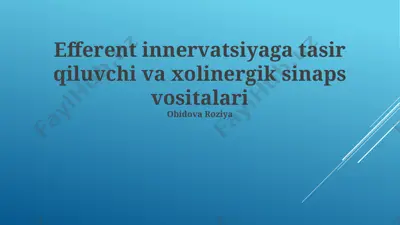 efferent innervatsiyaga tasir qiluvchi va xolinergik sinaps vositalari — PPTX
