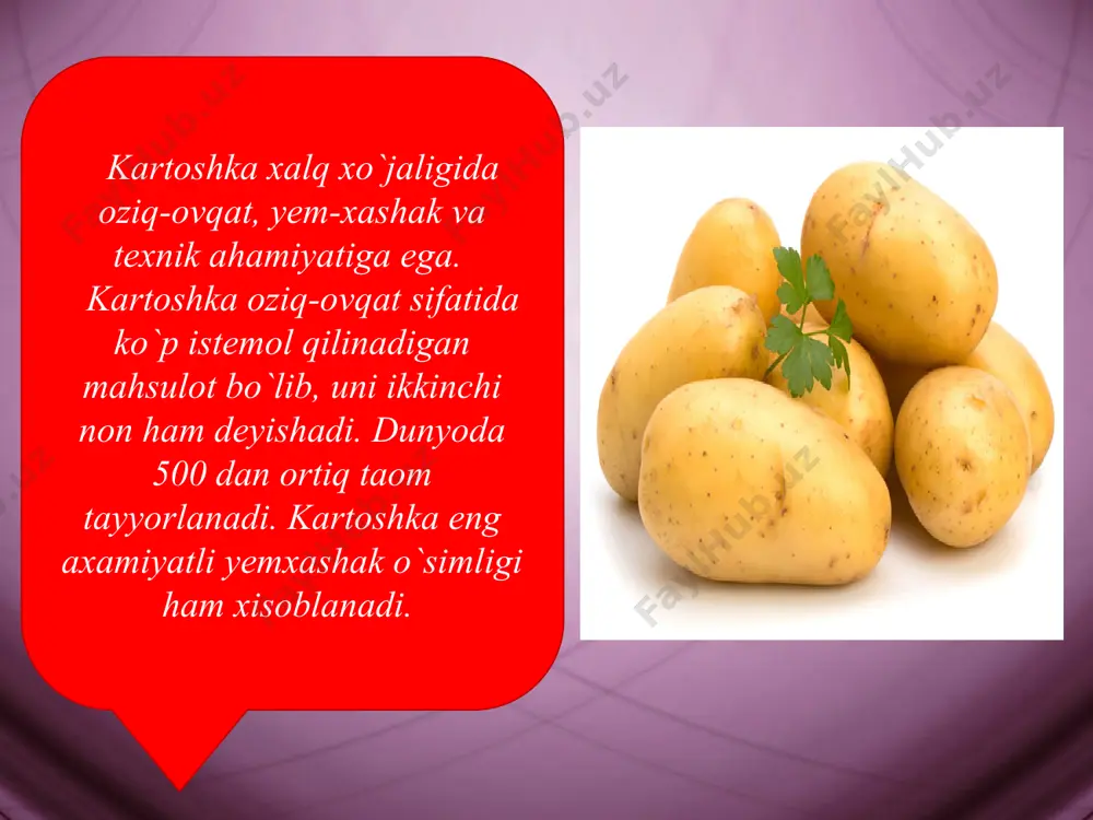 lgan tuganak xosil bo`lguncha davom etadigan butun xayot sikli bir vegetatsiya davrida o’tadi. ertagi kartoshka yer osti suvlari chuqur joylashgan tuproqlarda 7-9 marta sug’oriladi. kechki kartoshka esa 10-12 marta sug’oriladi. gullash davrigacha kartoshkani xar 12-15 kunda, gullash davrida 6-8 kunda sug’orish kerak. yozda ekilgan kechki kartoshka xar 8-10 kunda sug’orilishi kerak. kartoshkani ekish kartoshka bir yerda surunkasiga ekilsa u sulish kasali bilan kasallanadi. shuning uchun uni almashlab ekishda karam, bodring, qovun, tarvuz xamda ildiz mevalilardan keyin ekish kerak. yozda ekilganda kuzgi bug’doy va arpadan keyin ekilishi kerak. adabiyotlar: 1. x.atabayeva, o.qodirxujayev o`simlikshunoslik, t.yangi asr avlodi.2006 yil (lotin alifbosida). 2. o.mirzayev, t.xudoyberganov yem-xashak yetishtirish-andijon 2003 y. 3. x.atabayeva va boshq.o`simlikshunoslik, t.mexnat.2004 y. 4. i.karimov bir yillik va ko`p yillik mustaqil yurt g`allasi, t.o`zbekiston 2003 y. 5. a.omonov, x.bo`riyev, l.g`afurova, a.nurbekov bir boshoq don.t.2004 y. image9.jpeg image10.jpeg image11.jpeg image12.jpeg image13.jpeg image14.jpeg image15.jpeg image16.jpeg image1.jpeg image2.jpeg image3.jpeg image4.jpeg image5.jpeg image6.jpeg image7.jpeg image8.jpeg /docprops/thumbnail.jpeg