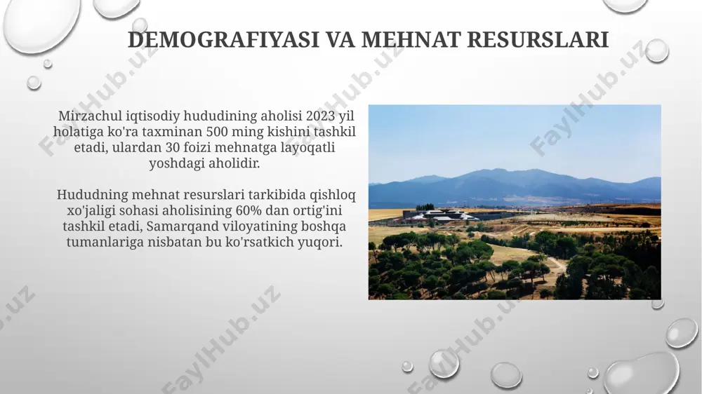 mirzachoʻl iqtisodiy rayoni - Page 4