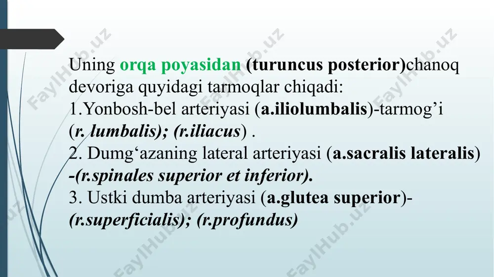 imini qon bilan ta’minlaydigan yuqorigi lateral arteriya . 2. a.superior medialis genus - tizza bo‘g’imini qon bilan ta’minlaydigan ustki medial arteriya . 3. a.media genus - tizza bo‘g‘imini qon bilan ta’minlaydigan o‘rta arteriya . 4. a.inferiores lateralis genus - tizza bo ‘g ‘ imini qon bilan ta’minlaydigan ostki lateral arteriya . 5. a.inferior medialis genus - tizza bo ‘g ‘ imini qon bilan ta’minlaydigan pastki medial arteriya . 6. a.surales - boldirning orqa guruh mushaklarini qon bilan ta’minlashda qatnashadi . 5. a.profunda femoralis - sonning chuqur arteriyasi . bu arteriya son mushaklarini qon bilan ta’minlaydigan asosiy qon tomir hisoblanadi . 6. rami muscularis - o ‘z yo ‘ nalishida son arteriyasi atrofidagi mushaklami qon bilan ta’minlaydi . 7. a.genus descendens - tizza bo‘g’imi sohasiga tushuvchi arteriya . tizza bo‘g ‘ imi sohasidagi arterial to‘rni hosil qilishda qatnashadi . tashqi yonbosh arteriyasi - a.iliaca externa umumiy yonbosh arteriyasining tarmog‘i bo‘lib hisoblanadi …