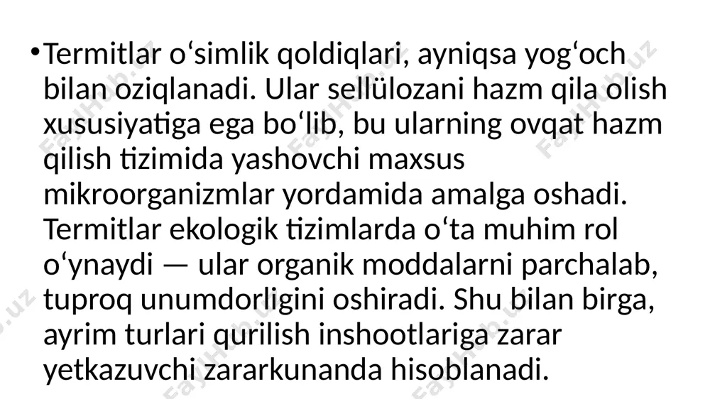 termitlar - Page 4