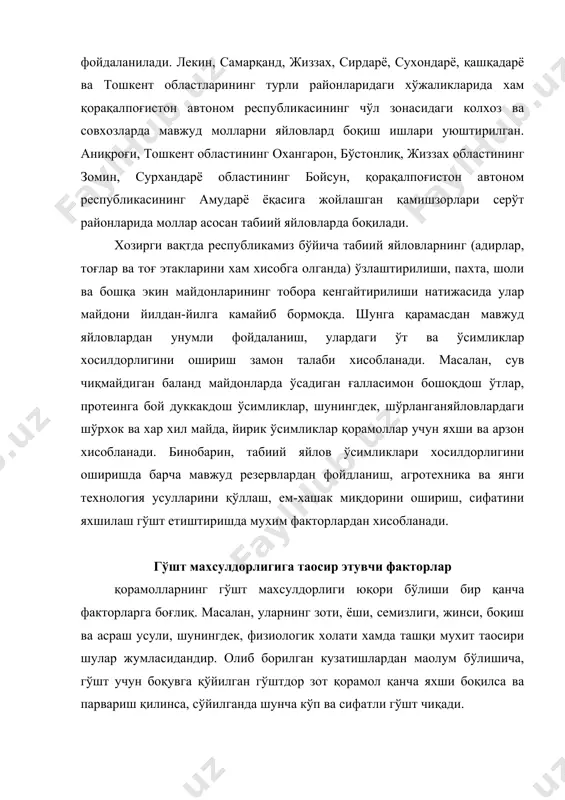 ёшдаги молларни 6-90 кун мобайнида бўрдоқига боқиш мумкин. чунки боқиш муддати чўзиб юборилса, уларнинг танасини ёғ босиб кетади ва гўштининг сифатига салpбий таoсир кўрсатади. моллар зотининг таoсири. гўштининг хусусиятига кўра, сут учун боқиладиган ва қўш махсулдор зотлар гўштга боқилганда зот асосан ички органларида тўпланади, нимталарида эса камроқ бўлиши аниқланган. шунингдек, уларнинг нимтасидаги лахм гўшт миқдори гўшт учун боқиладиган молларникига нисбатан камроқ бўлади. бундай моллар жадал усулда гўштга семиртирилган гўшт чиқими 50-56% ни ташкил этади. молларнинг гўшт махсулдорлигини ортишига, сифати ва тўйимлилиги яхшиланишига уларнинг зоти ва зотдорлиги салмоқли таoсир кўрсатади. бунга асосан сабаб гўштдор зотларнинг тез етилувчанлиги, қисқа вақт ичида яхши семириши, семириши учун сут учун боқиладиган молларга қараганда камроқ ем-хашак сарфлаш, гўштининг мармарсимон ва мазали бўлишидир. бинобарин, гўштдор зотларнинг бузоқ ва новвослари 15-18 ойлигигача боқилиши етарли хисобланади. бунда уларнинг тирик вазни 400-450 кг ге етиши мумкин. хозирги вақтда гўштдор буқаларни сут учун боқилдиган ва қўш махсулдор зотлар сигири билан чатиштириш …