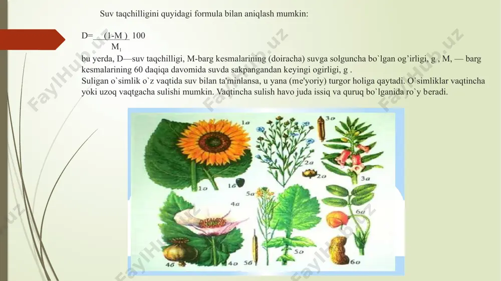 o’simliklarda suv almashinuv fiziologiyasi - Page 4