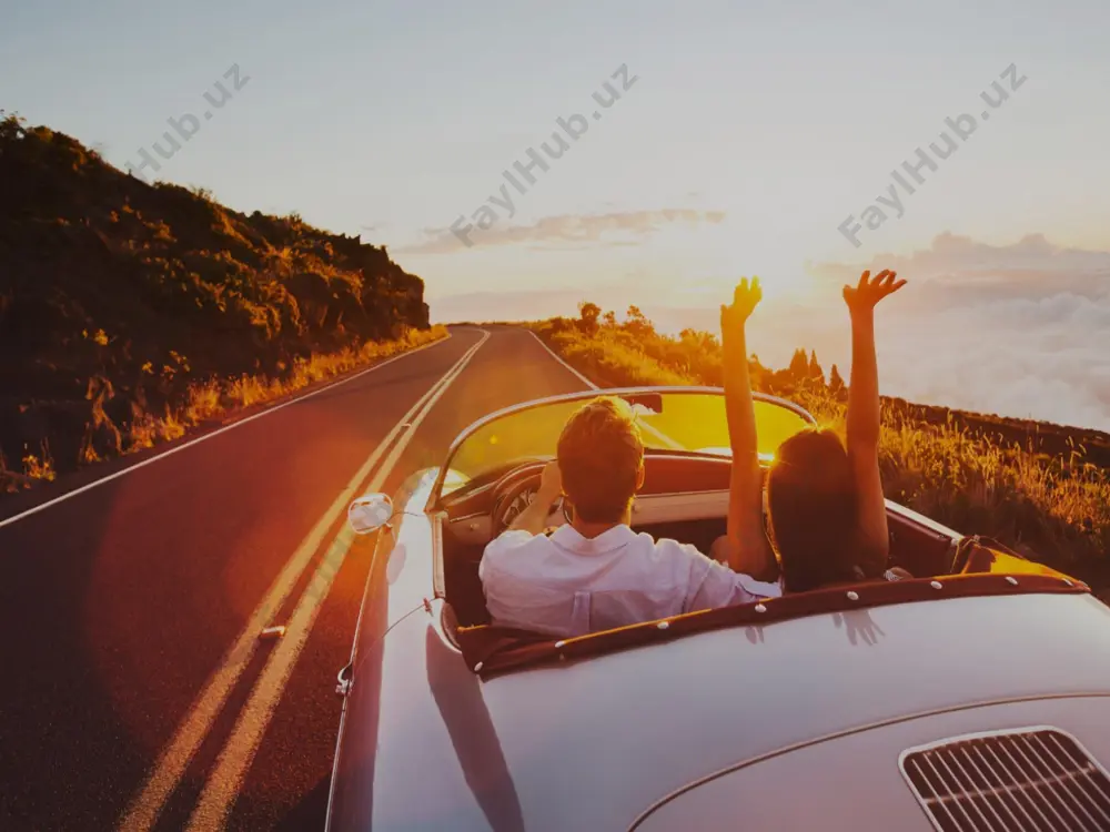 traveling trends: reasons and means - Page 5