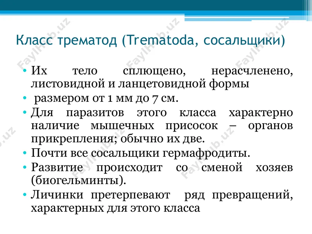 ca) жизненный цикл трематод паразит белого цвета, ланцетовидной формы, длина тела 5-15 мм. при заражении развивается дикроцелиоз первый промежуточный хозяин – различные виды наземных моллюсков, второй промежуточный хозяин - серый муравей, окончательный хозяин – различные сельскохозяйственные животные и редко человек. заражение животных и человека происходит при случайном проглатывании муравьев с личинками гельминта. двуустка ланцетовидная (dikrocoelium lanceatum) жизненный цикл трематод диагностика основана на обнаружении в дуоденальном содержимом и кале яиц двуустки. следует, однако, помнить, что яйца могут попасть человеку при употреблении печени больного дикроцелиозом скота. такие яйца проходят через желудочно-кишечный тракт человека без изменений и называются транзитными. диагностического значения они не имеют. в таких случаях исследование кала следует повторить через 1-2 недели после исключения из пищевого рациона больного печени. двуустка ланцетовидная (dikrocoelium lanceatum) жизненный цикл трематод яйцевидной формы трематода, розовато-коричневой окраски. покровы с шипами. тело утолщенное (3-5 мм.), длиной от 7,5 до 16 мм и шириной 4-8 мм. развитие протекает в …