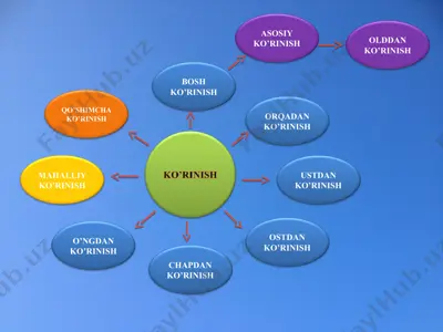 frontal proyeksiya — PPT