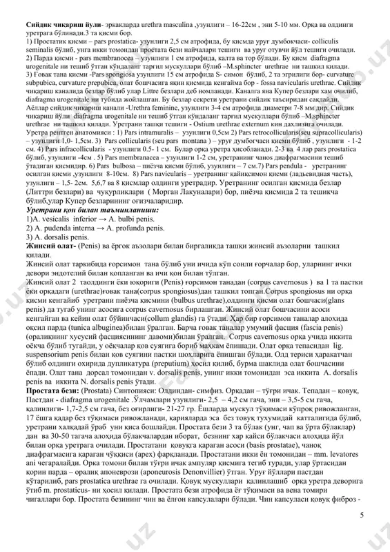ртилган фиброз парда-lig. (aponeurosis) peritoneoperinealis ёки денонвилье апоневрози дейилади.чаноқ фасцияси ва денонвилье апоневрози ҳисобига чаноқ органлари фасциал футлярга эга бўлади.простата безини ўраган капсула – пирогов- ретци, тўғри ичакни ўраган капсула эса амюса капсуласи дейилади. қовуқ ( сийдик пуфаги)-vesica urinaria – эркакларда шаросимон, аёлларда овал шаклида бўлади. ҳажми 200- 700мл гача( 250-300 мл). қисмлари: 1) қовуқ чўққиси (верхушка)- apex vesicae.2)қовуқ танаси - corpus vesicae.3) қовуқ туби- fundus vesicae. 4) қовуқ бўйинчаси- cervix vesicae. ковук синтопияси: эркакларда аёлларда олдиндан: симфиз симфиз орқадан: уруғ пуфагининг чиқариш йўллари бачадон ва киннинг олдинги девори тўғри ичак юкоридан: париетал қорин парда париетал қорин парда пастдан: простата бези чаноқ диафрагмаси. қовуқ олдида бўшлиқ бўлиб у spatium prevesicalis – retzii дейилади. бу бўшлиқга қон, сийдик ёки бошқа суюкликлар йиғилиши мумкин. аёлларда париетал қорин парда қовуқдан бачадон (еxcovatio vesico-uterina) ва тўғри ичакга (еxcovatio recto-uterina- дуглас бушлиги) ўтишда чуқурликлар ҳосил қилади. қовуқ деворининг қаватлари: 1) шиллиқ қавати-тunica mucosa. 2) шиллиқ …