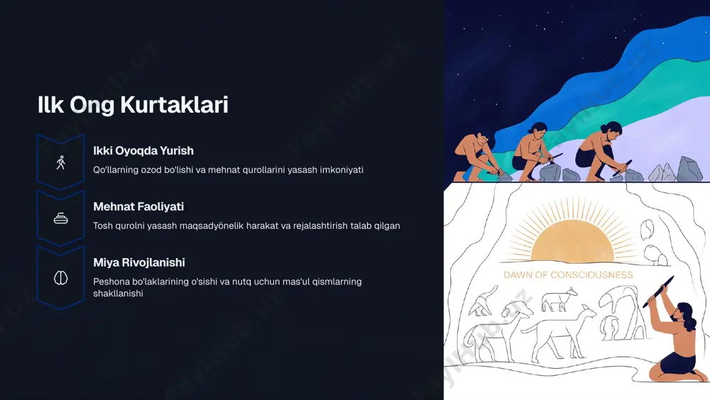 inson ongi va uning tarixiy taraqqiyoti - Page 5