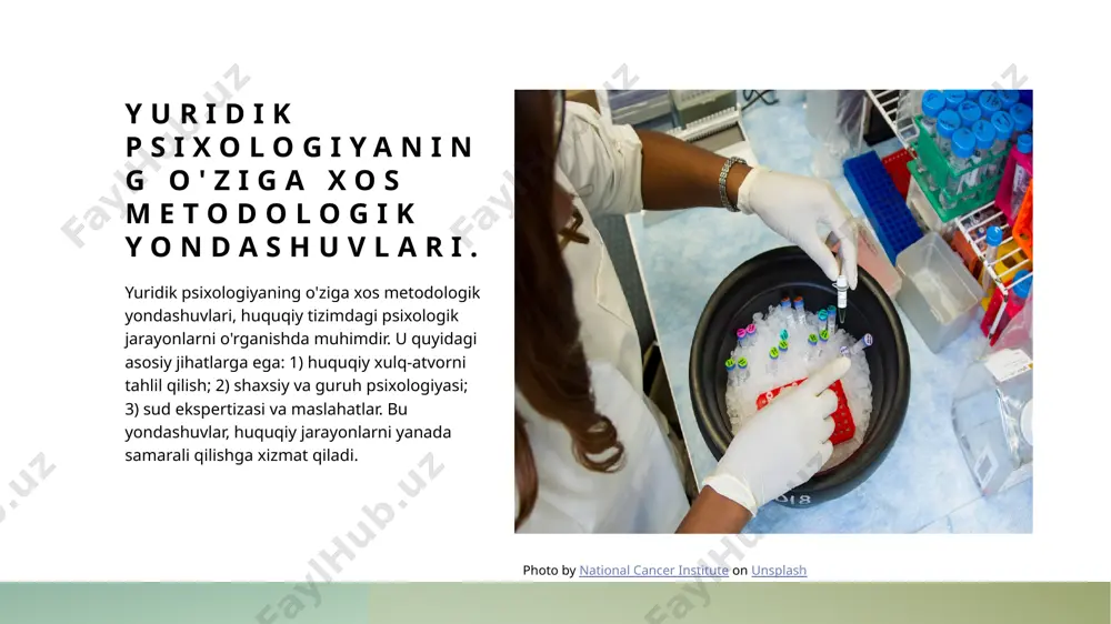 giyaning amaliy qo'llanilishi xalqaro sudlarda huquqiy qarorlar qabul qilishda, shuningdek, jinoyatchilikni oldini olishda muhim rol o'ynaydi. yuridik psixologiyadagi amaliy tadqiqotlar: usullar va natijalar. yuridik psixologiyadagi amaliy tadqiqotlar, huquqiy tizimda psixologik omillarni o'rganish uchun turli usullarni qo'llaydi. ushbu tadqiqotlar natijalari: - jinoyatni oldini olish va reabilitatsiya strategiyalarini ishlab chiqishga yordam beradi. - sud jarayonlarida guvohlarning xotirasini va ishonchliligini tahlil qiladi. - huquqiy qarorlar qabul qilishda psixologik faktorlarni hisobga oladi. photo by sincerely media on unsplash xalqaro tajribalar: yuridik psixologiyaning global ko'rinishlari. 1 yuridik psixologiya asoslari xalqaro tajribalar yuridik psixologiyaning asosiy nazariyalarini, metodologik yondashuvlarini va amaliy qo'llanilishini o'z ichiga oladi. 2 global amaliyotlar turli mamlakatlarda yuridik psixologiya amaliyoti, sud jarayonlarida ekspertiza, jinoyatni tushunish va reabilitatsiya tizimlarida qo'llaniladi. 3 o'zaro ta'sir xalqaro tajribalar yuridik psixologiyadagi metodologik yondashuvlar va nazariyalar o'rtasidagi aloqalarni ochib beradi, global o'zgarishlarga moslashadi. sud jarayonlarida yuridik psixologiyaning amaliy qo'llanilishi. 01 sud jarayonlari va yuridik psixologiya sud jarayonlarida yuridik psixologiya, guvohlar …