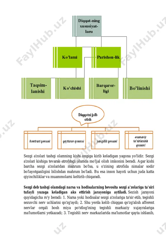 gan narsaning ayrim xususiyatlarini aks ettiradigan sezgilardan farqli o'laroq, idrok narsaning yaxlit obrazi hisoblnadi. o'z-o'zidan ravshanki, bu yaxlit obraz narsaning ayrim xususiyatlari va belgilari haqida turli xil sezgilar tarzida olinadigan bilimlarni umumlashtirish negizida tarkib topadi. idrokning yaxlitligi uning strukturaliligi bilan bog'langandir. idrok ma'lum darajada bizning bir lahzalik sezgilarimizga javob bermaydi va ularning shunchaki oddiy yig'indisi ham emas. biz ana shu sezgilardan amalda mavhumlashgan va birmuncha vaqt davomida shakllanadigan umumlashgan strukturani idrok etamiz. agar kishi birorta kuyni tinglayotgan bo'lsa, oldinroq eshitgan ohangi yangisi eshittira boshlangandan keyin ham uning qulog'iga chalinayotganday tuyulaveradi. idrokning yaxlitligi va strukturaliligi manbalari, bir tomondan, aks ettiriladigan ob'yektlarning o'ziga xos xususiyatlarida va, ikkinchi tomondan, insonning aniq faoliyatida gavdalanadi. i.m.sechenov ta'kidlaganidek, idrokning yaxlitligi va strukturaliligi analizatorlarning reflektor faoliyatining natijasidir. amaliy ishlash topshiriq 1.shaxsning borliqni bilishi. bilish jarayonlari? 2. diqqat jarayoni qanday jarayon? 3. sezgi jarayoni haqida nimalarni bilasiz? 4.idrok jarayoni va uning fenomentlari qaysilar ? i n s ye …