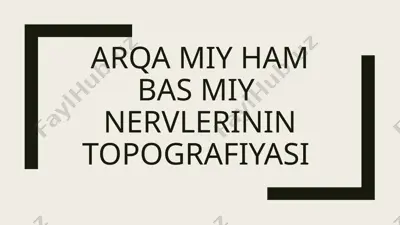 arqa miy ham bas miy nervlerinin topografiyasi — PPTX