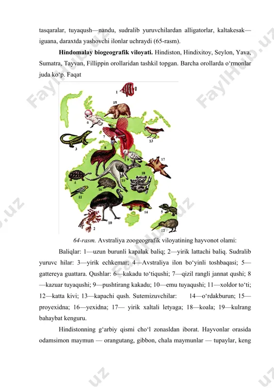 i ilonlar, har xil kaltakesaklar, timsohlar ko‘zga tashlanadi. o‘rmonlarda bambuk, banan, qora daraxtlar o‘sadi. habashiston biogeografik viloyati afrikaning markaziy, janubiy qismini, madagaskarni egallagan. bu viloyatning o‘ziga xos hayvonot dunyosi — odamsimon maymunlari — gorilla, shimpanze, martishka, lemur, arslon, fil, begemot, oq va qora ikki shoxli nosoroglar, jirafa, zebra, giyena itlari bo‘lib, ularn ing aksariyati boshqa biogeografik vilotlarda uchramaydi. afrika tuyaqushlari, kotib qushlar, to‘tilar, sezarkalar, nektar yig‘uvchilar, sudralib yuruvchilardan — afrika timsohi, echkemar, kaltakesak—agama, xameleonlar keng tarqalgan (66rasm). afrikaning g‘arbiy va tog‘li joylari tropik o‘rmonlar, qolgan qismi esa savannalardan iborat. ularda baobab, qizil daraxt, palma, akatsiya, paporotnik va daraxtlarda o‘suvchi o‘simliklar — epifitlar keng o‘rin olgan. paleoarktik biogeografik viloyati butun yevropa, osiyoning shimoliy, markaziy qismini, afrikaning shimoliy qismini egallagan. nihoyatda katta hududga ega bo‘lishiga qaramay, bu vilo- yatda sutemizuvchi hayvonlarning boshqa viloyatlarda uchramaydigan birorta ham turkumi yo‘q. bu viloyatda tuyoqli hayvonlardan — ot, saygak, yelik, kabarga, tog‘ echkisi, los, yovvoyi qo‘y, …