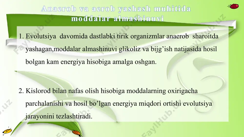 hayvonlarning nafas olish organlari evolutsiyasi - Page 3