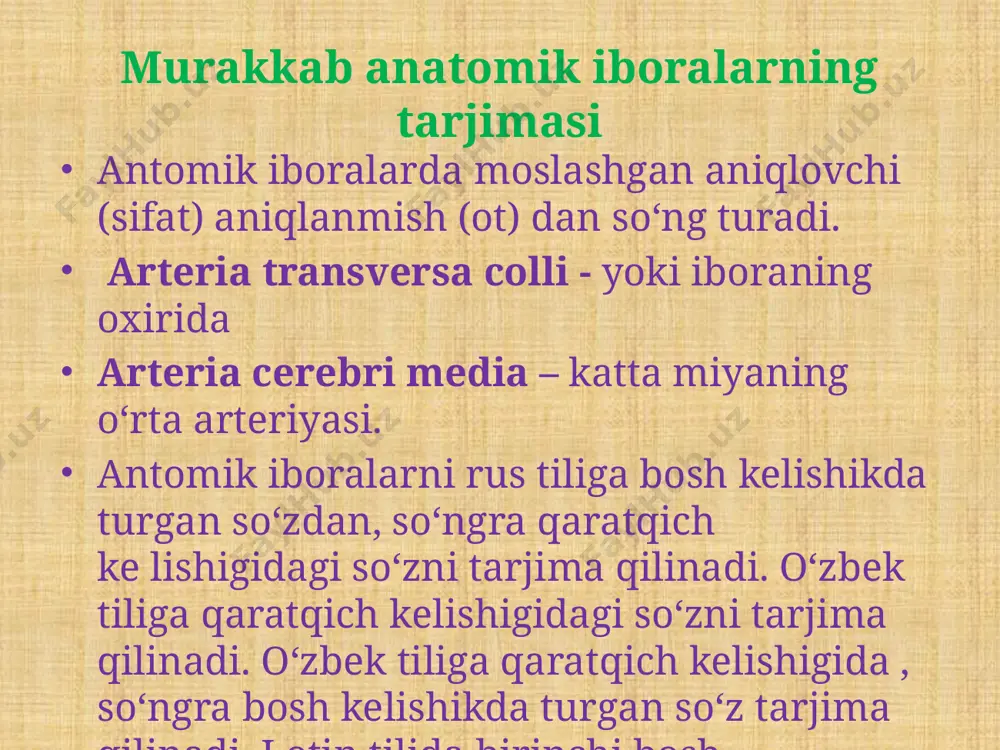 murakkab anatomik iboralarni tarjima qilish. mushaklarning nomlanishi - Page 4
