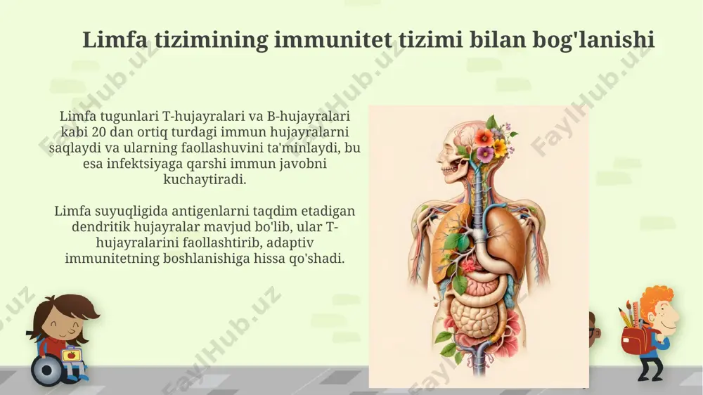 limfa sistemasi - Page 3