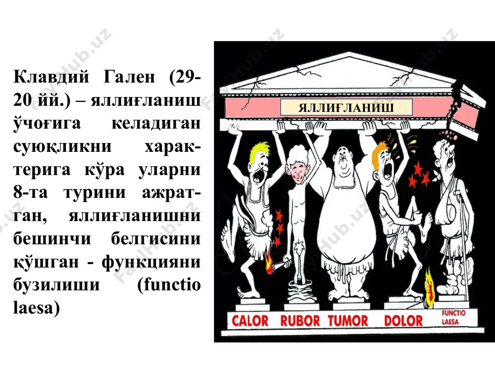 мин ажралиб чиқиши семиз хужайра рецепторлари билан ёт модда плазма медиаторлари уларга плазмадан яллиғланиш ўчоғига ўтувчи медиаторлар киради: кининлар, қон ивиш система махсулотлари комплемент системалари фаоллашидан хосил бўладиган моддалар. яллиғланиш медиаторлари хужайравий плазмали олдиндан борлари кейин ҳосил бўлганлари зардоб жигар (асосий маънба) гистамин серотонин лизосом. ферментлар катионли оқсиллар семиз хужайралар тромбоцитлар нейтрофиллар, макрофаглар простагландинлар лейкотриенлар кислород радикаллари, no, цитокинлар лейкоцитлар тромбоцитлар , эндотелий макрофаглар лимфоцитлар каллекрин-кинин тизими, ивиш тизими, фибринолитик тизим анафилаток-синлар кимёвий таркибига кўра медиаторлар: биоген аминлар: гистамин ва серотонин актив полипептидлар ва оқсиллар: кининлар – брадикинин, каллидин, метионил-лизил-брадикинин, комплемент системаси таркибий қисмлари, ферментлар (асосан лизосомадан ажралган), оқсил табиатига эга бўлган лейкоцитар омилларга қуйидагилар киради: катион оқсиллар, интерлейкин, монокинлар, лимфокинлар. кимёвий таркибига кўра медиаторлар: яллиғланишнинг полисахаридли медиторлари - буларга гликозаминогликанлар (гепарин, хондроитин - сульфатлар, гепарин - сульфат, дерматан - сульфат) киради. уларни қуйидаги ҳужайралар ишлаб чиқаради: фибробластлар, силлиқмускулли элементлар, эндотелий ва макрофаглар. уларнинг самараси – яллиғланишга қарши таъсир (комплемент …